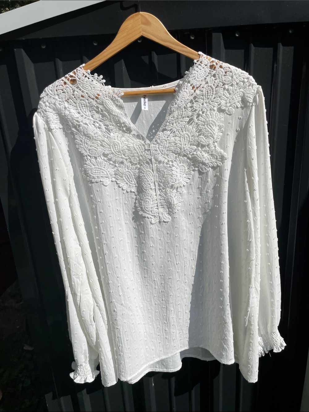 White Swiss-Dot Lace Yoke Long-Sleeve Blouse